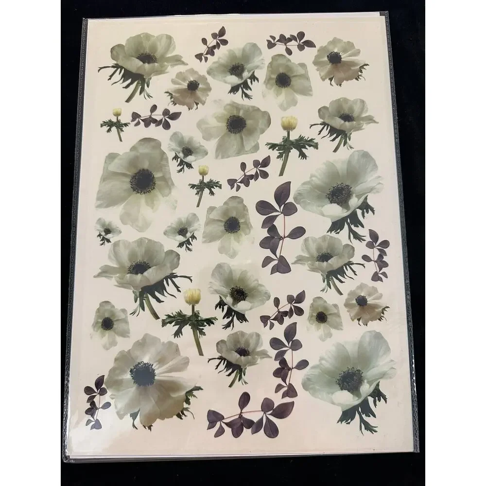 New Sealed Dress My Craft Transfer Me White Anemone Flowers Floral Dip In Water